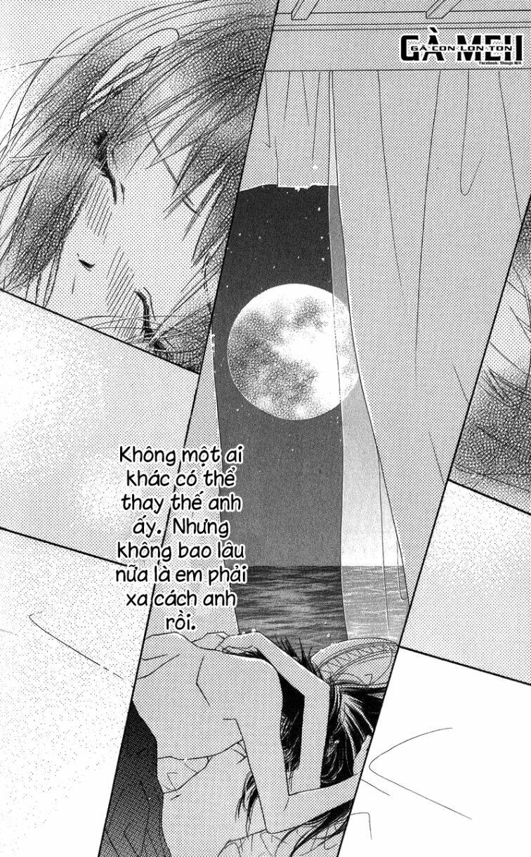 Kiss/Hug Chapter 13 - Trang 2