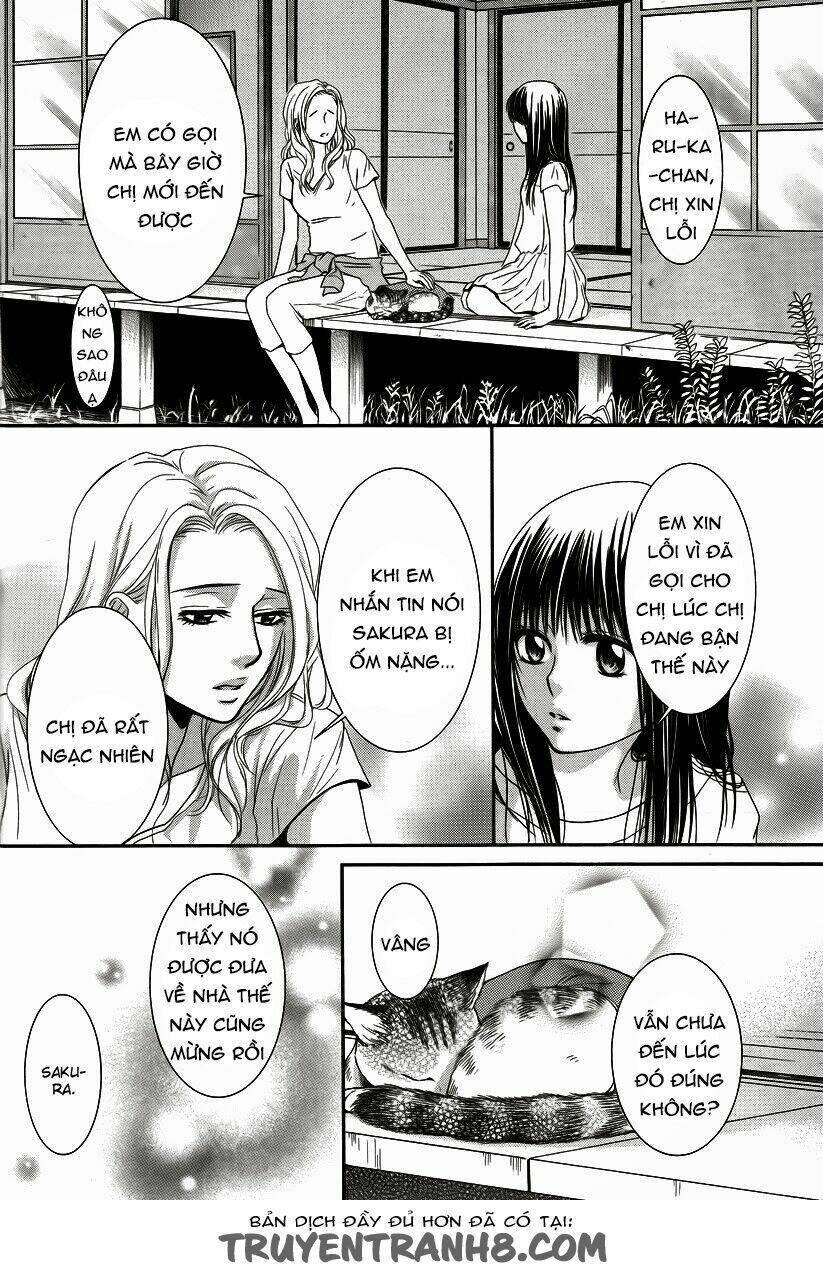 Kore Wa Koi No Hanashi Chapter 35 - Trang 2