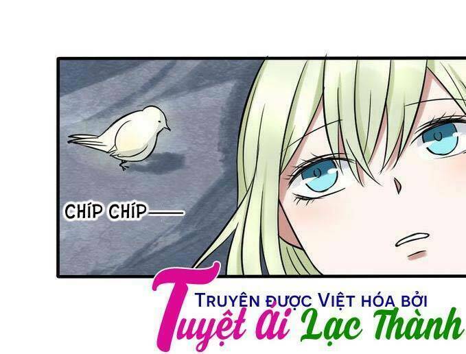 Nụ Hôn Hắc Vũ Chapter 26 - Trang 2