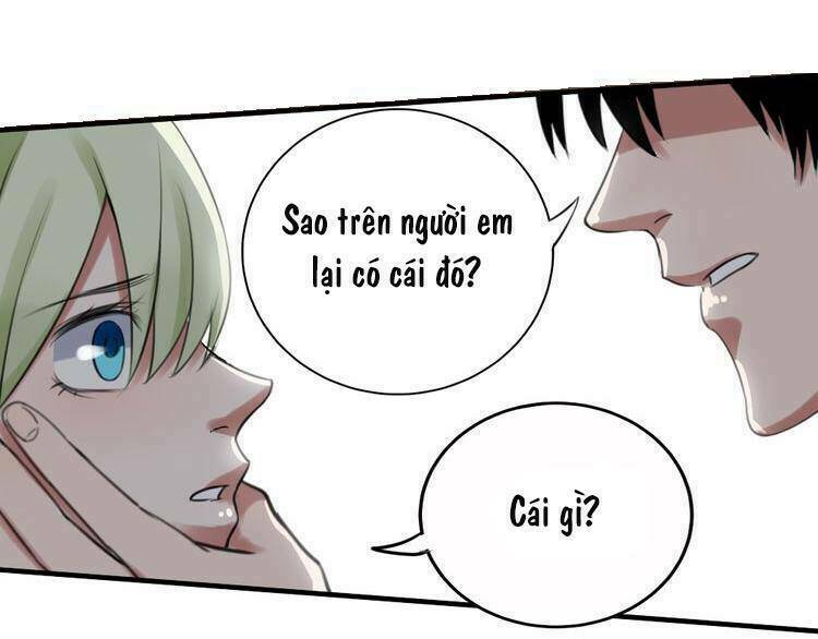 Nụ Hôn Hắc Vũ Chapter 17 - Trang 2