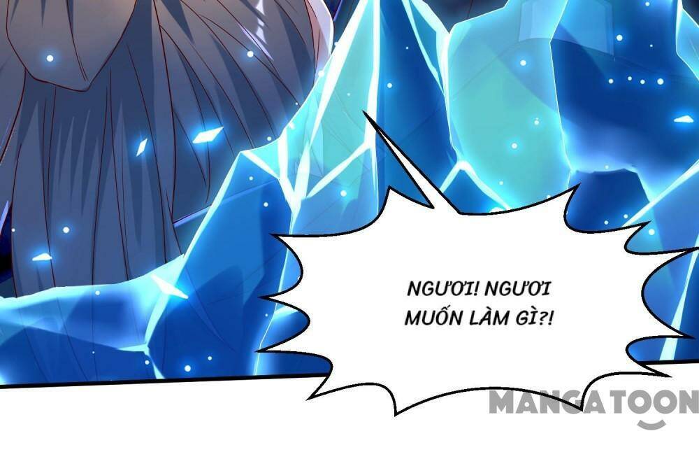 Đệ Nhất Người Ở Rể Chapter 269 - Trang 2