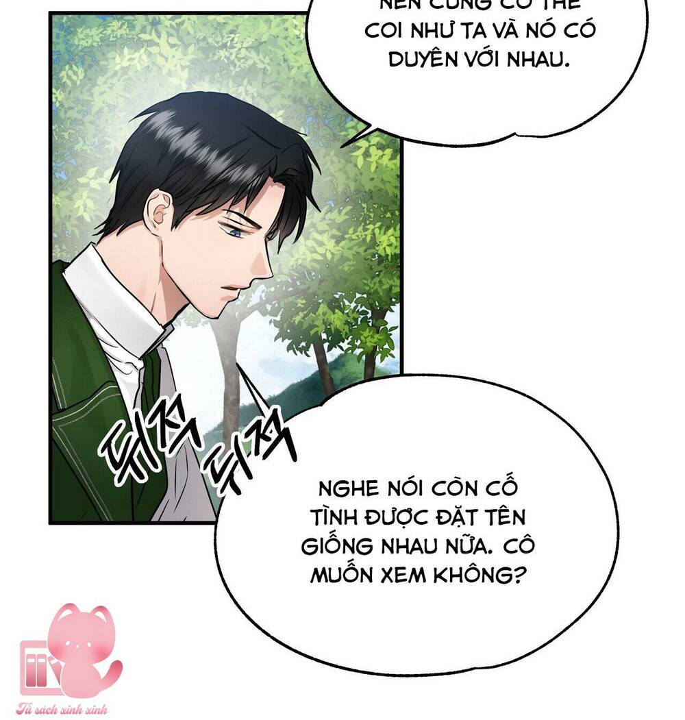 Người Thừa Kế Chapter 33 - Trang 2