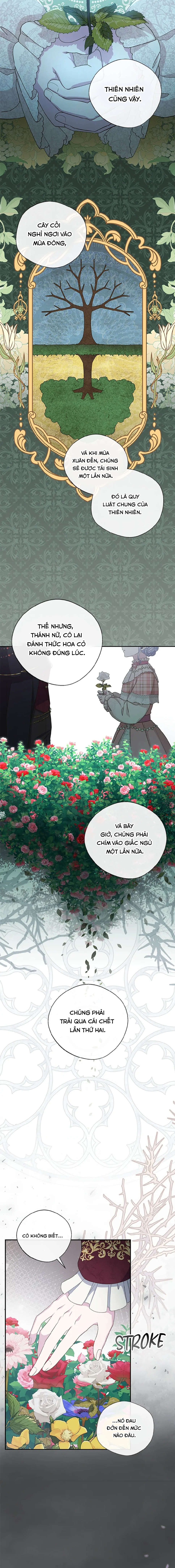 Đoá Violet Nở Rộ Phía Sau Vườn Chapter 25 - Trang 2