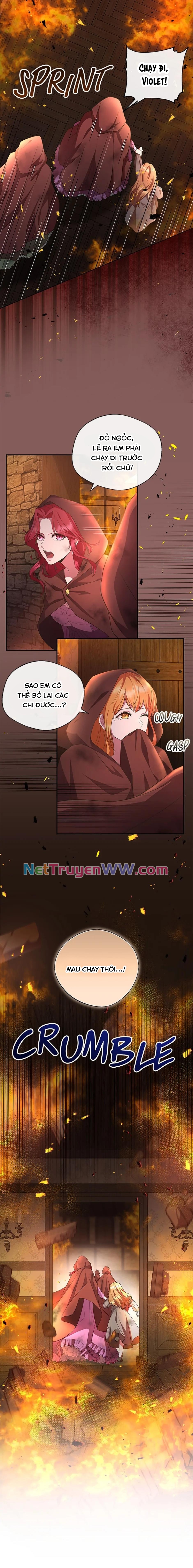 Đoá Violet Nở Rộ Phía Sau Vườn Chapter 2 - Trang 2