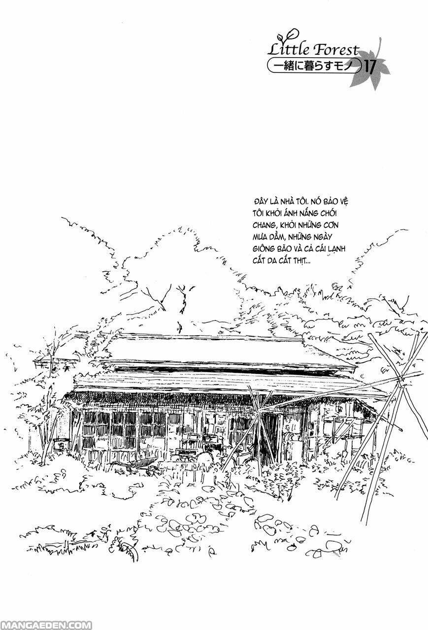 Little Forest Chapter 33 - Trang 2