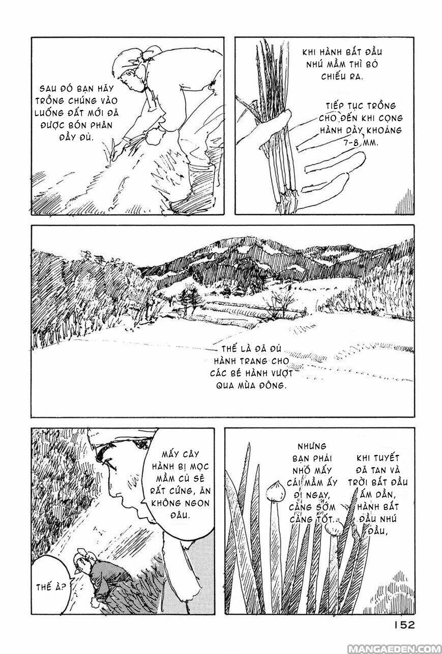 Little Forest Chapter 32 - Trang 2