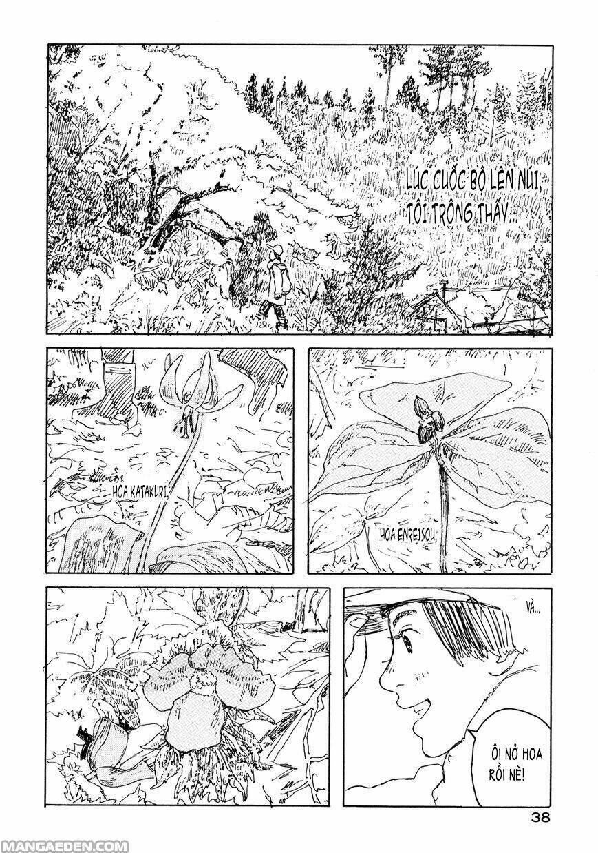 Little Forest Chapter 21 - Trang 2