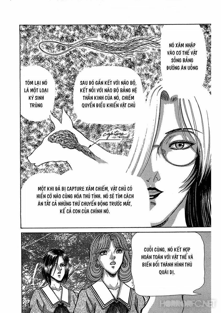 Dangerous Female Teacher Chapter 14 - Trang 2