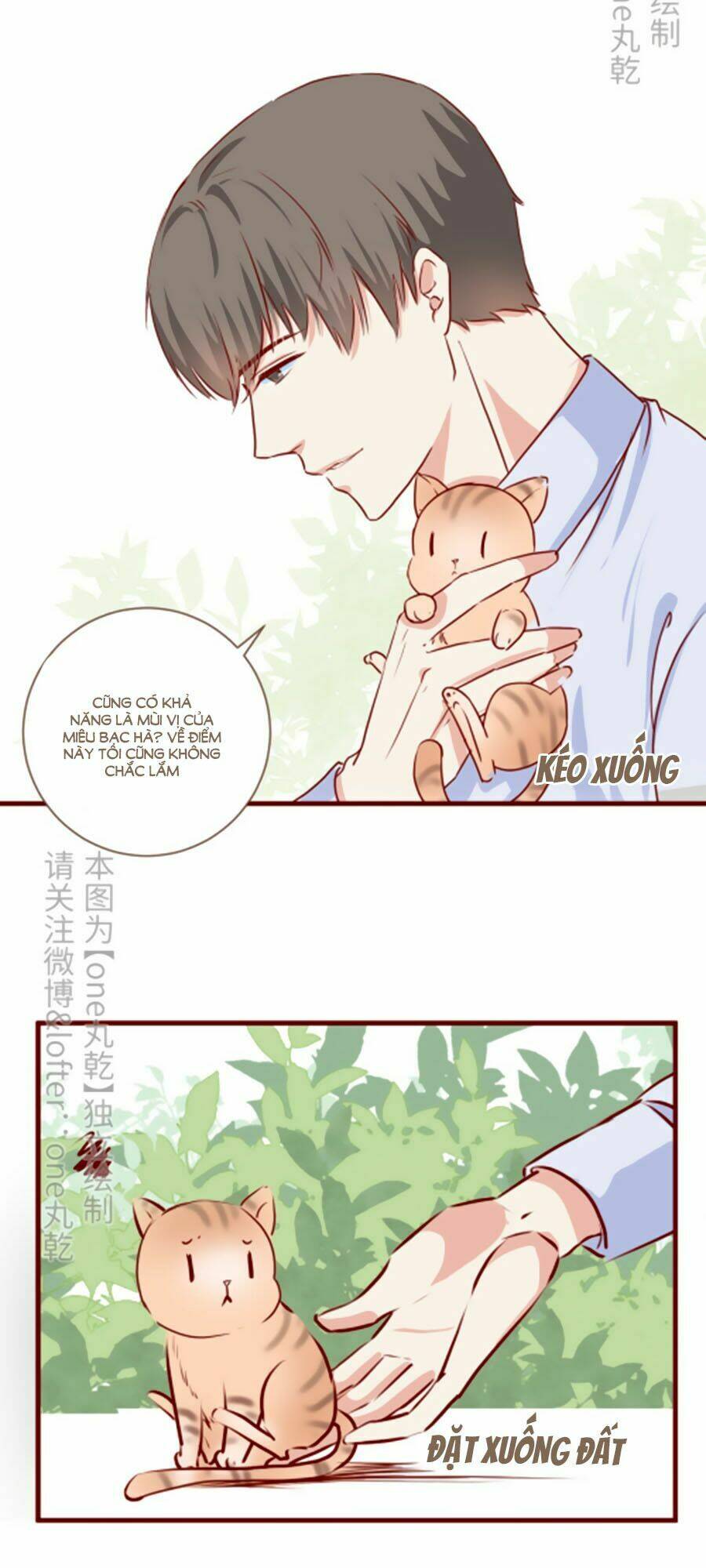 Tổng Hợp One Shot Chapter 388 - Trang 2