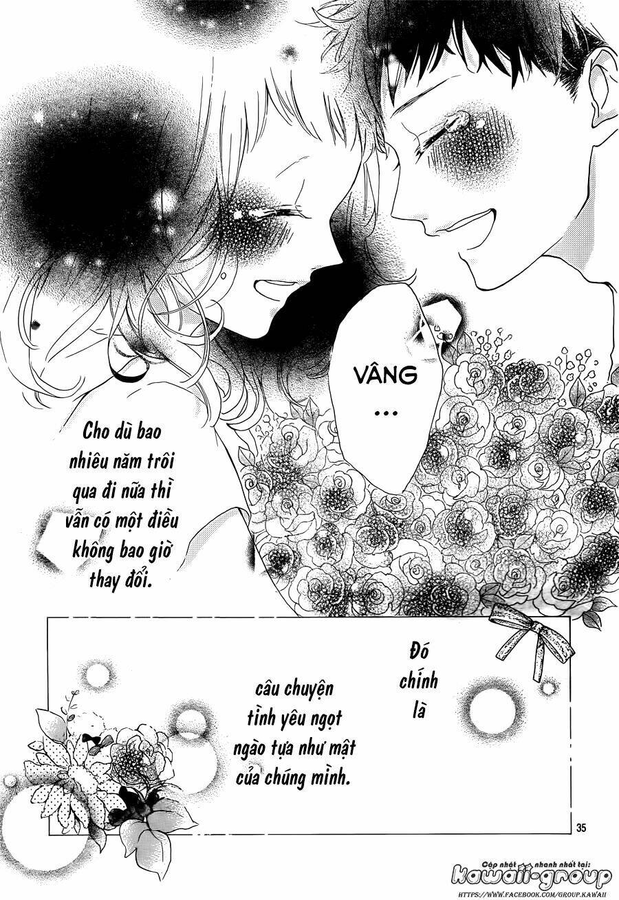 Honey Chapter 40 - Trang 2