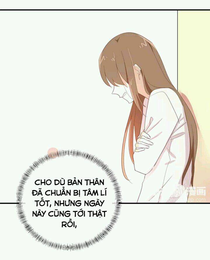 Tôi Bị Idol… Chuyện Không Thể Tả Chapter 87 - Trang 2