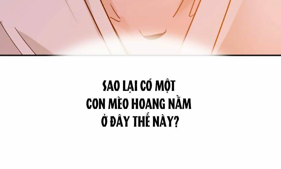 Hoàng Thượng! Hãy Sủng Ái Ta Đi! Chapter 5 - Trang 2