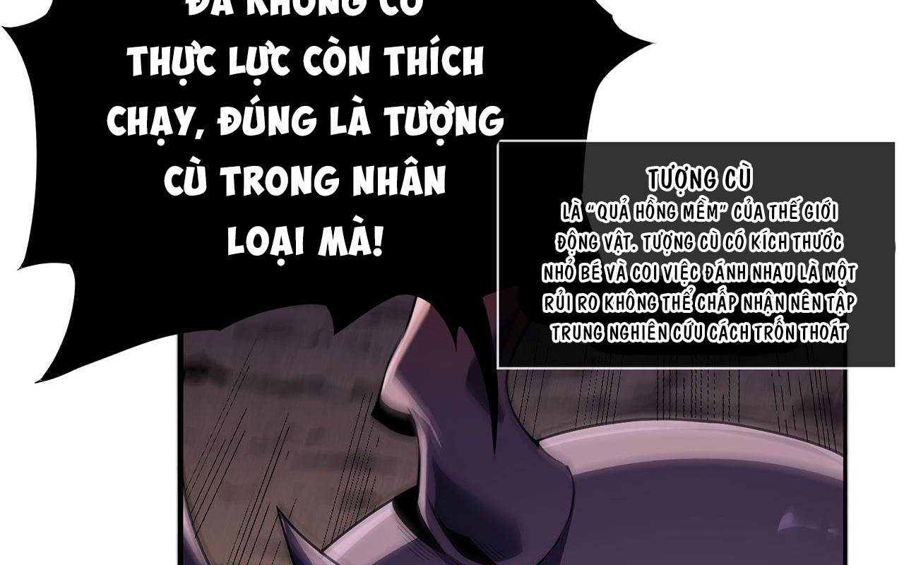 Sát Thủ Cấp Sss Hồi Quy Chapter 2 - Trang 2