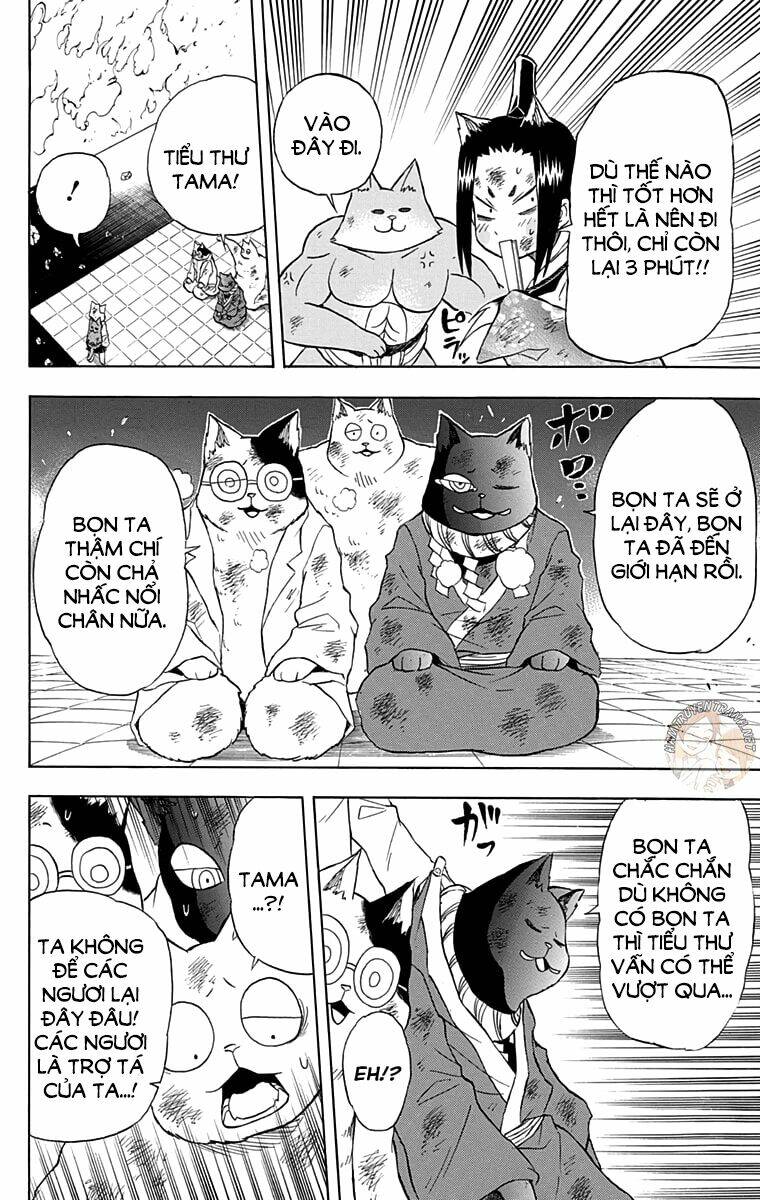 Nekowappa! Chapter 13 - Trang 2