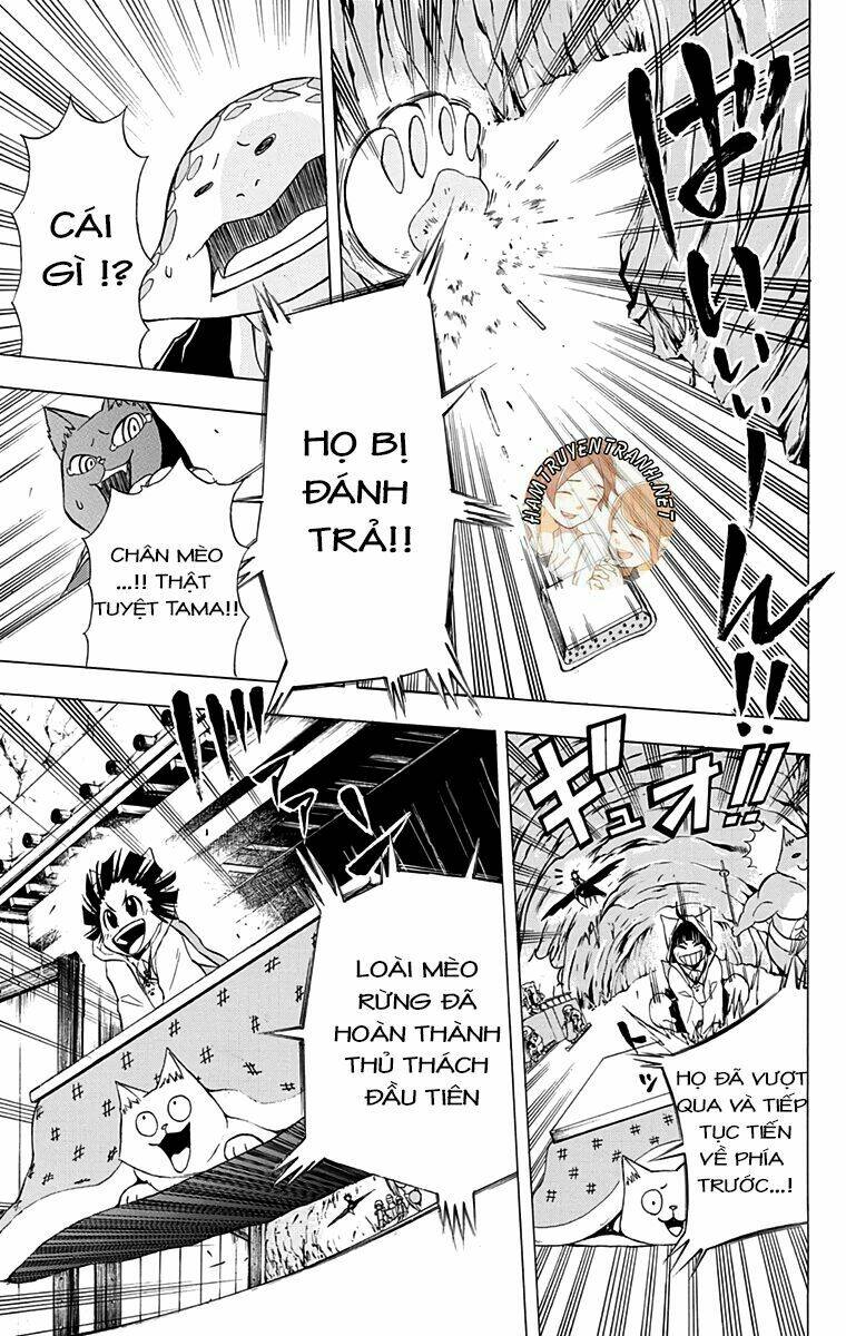 Nekowappa! Chapter 9 - Trang 2