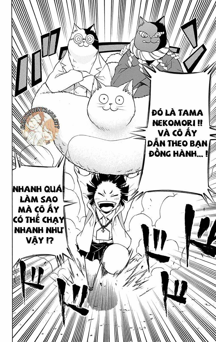 Nekowappa! Chapter 9 - Trang 2