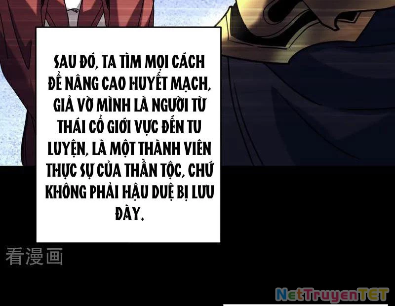 Đệ Tử Tu Luyện Còn Ta Thì Lười Biếng Chapter 154 - Trang 2