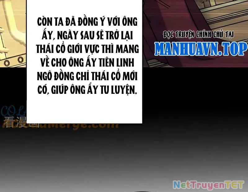 Đệ Tử Tu Luyện Còn Ta Thì Lười Biếng Chapter 154 - Trang 2