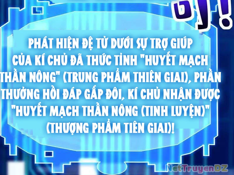 Đệ Tử Tu Luyện Còn Ta Thì Lười Biếng Chapter 140 - Trang 2