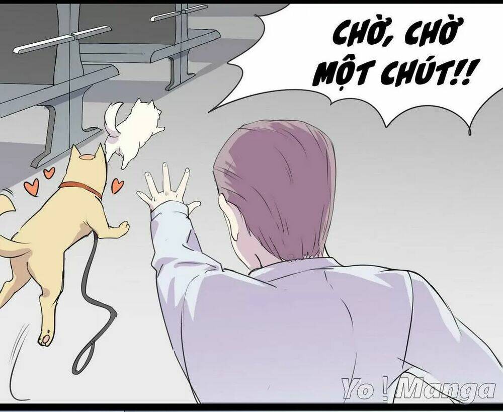 Một Con Chó Chapter 53 - Trang 2