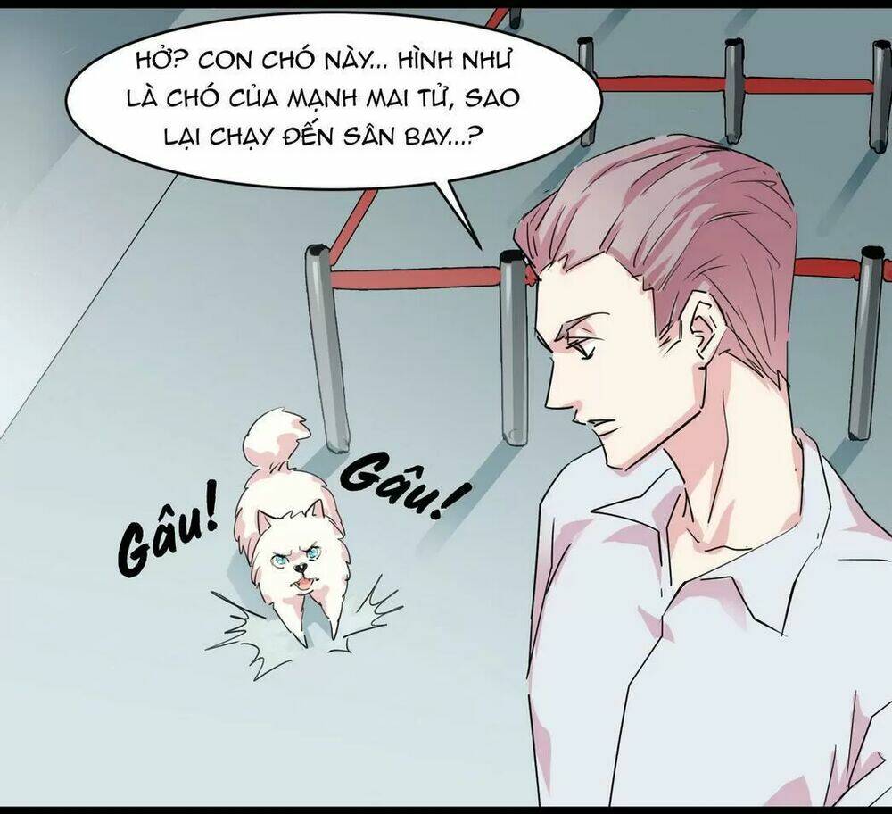 Một Con Chó Chapter 52 - Trang 2