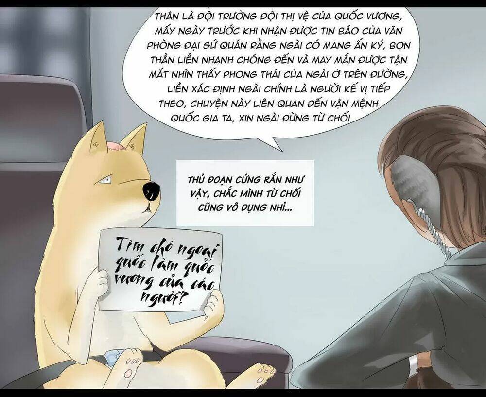 Một Con Chó Chapter 31 - Trang 2