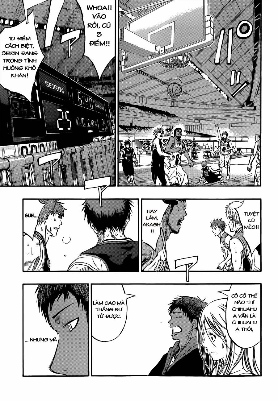 Vua Bóng Rổ Kuroko Chapter 241 - Trang 2