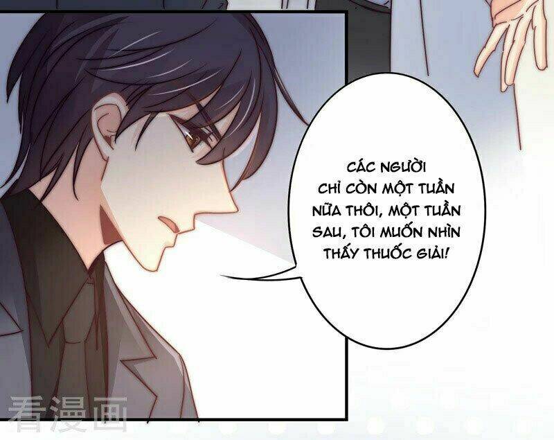 Cuồng Duệ Tiểu Thê Chapter 110 - Trang 2