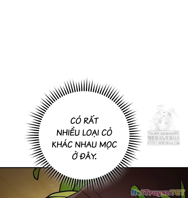 Tái Thiết Hầm Ngục Chapter 235 - Trang 2