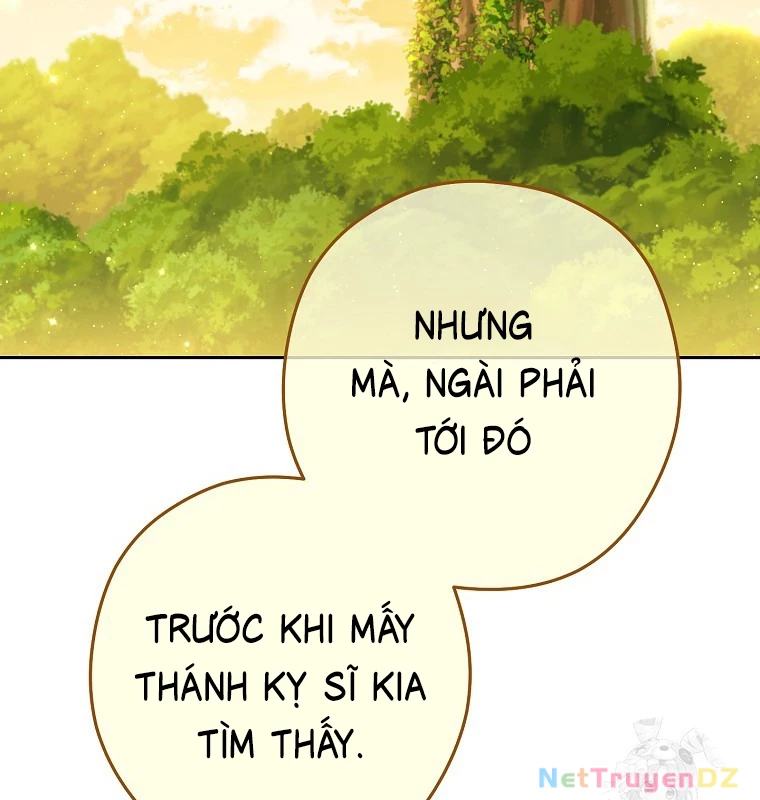 Tái Thiết Hầm Ngục Chapter 230 - Trang 2