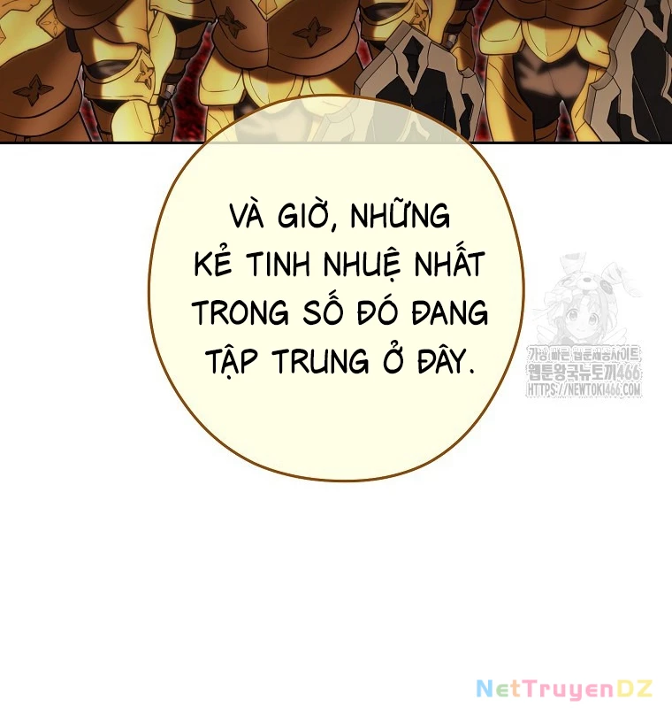 Tái Thiết Hầm Ngục Chapter 230 - Trang 2