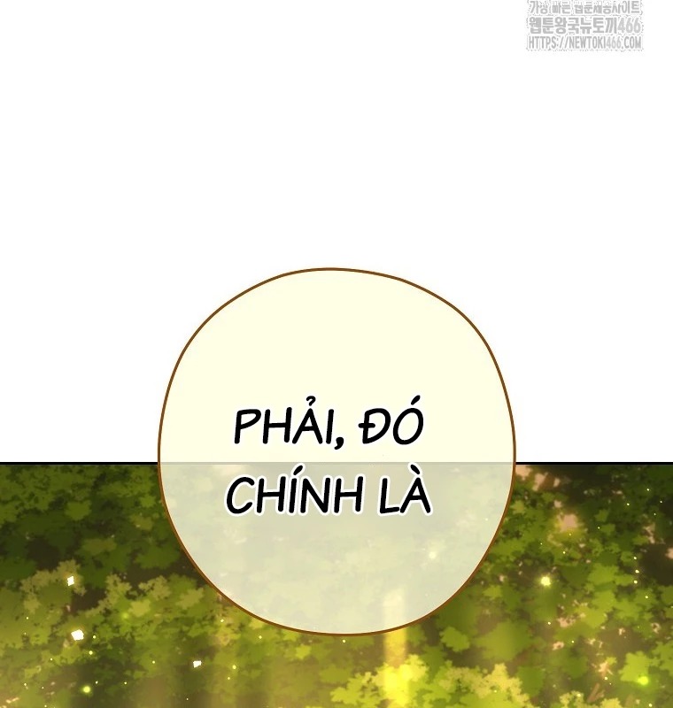 Tái Thiết Hầm Ngục Chapter 229 - Trang 2