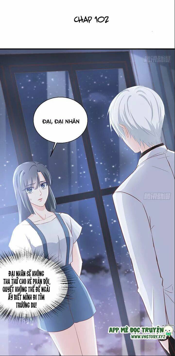 Cẩm Lý Thiếu Nữ Của Tôi Chapter 102 - Trang 2