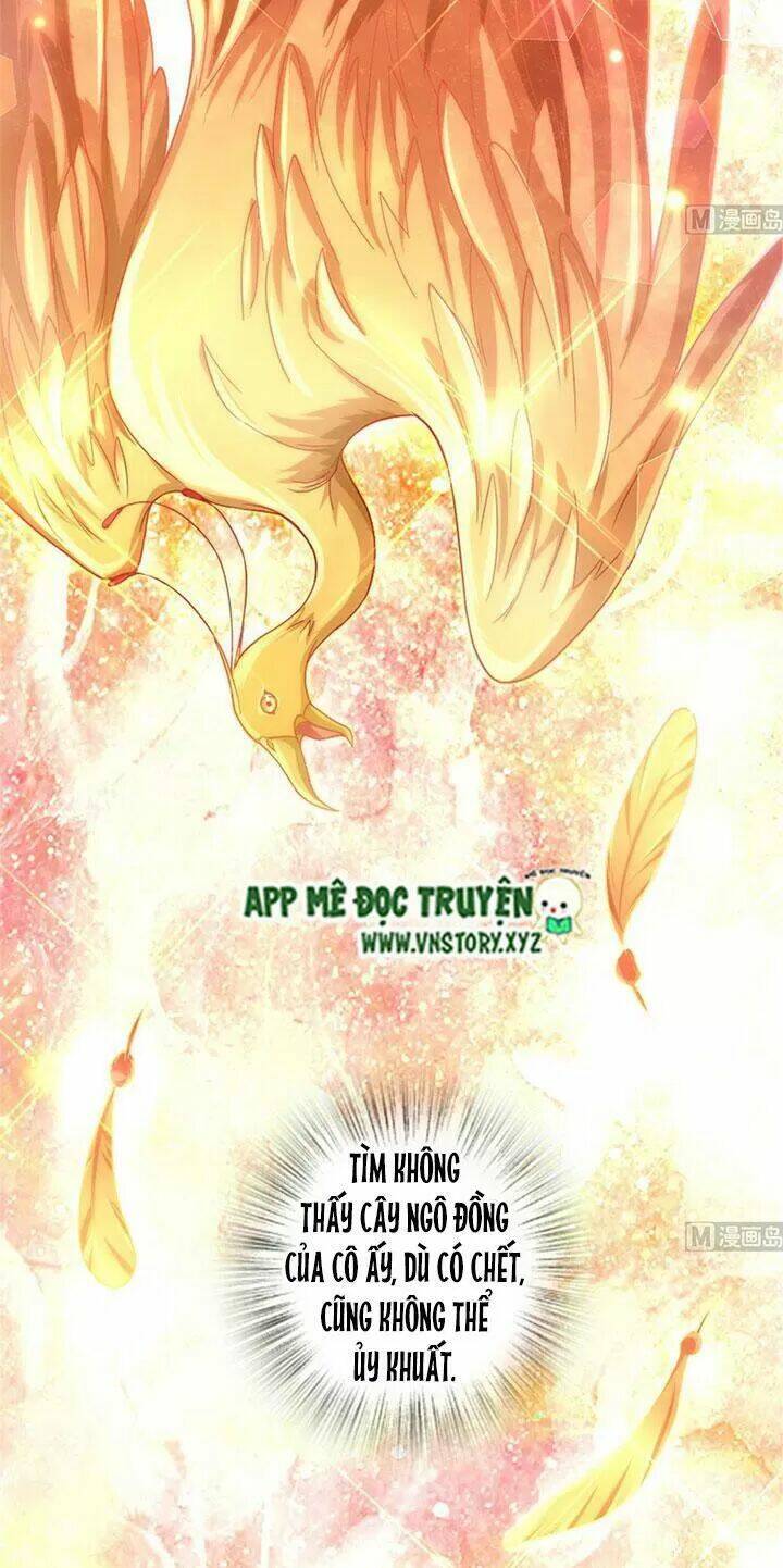 Thiên Hậu Trở Về Chapter 178 - Trang 2