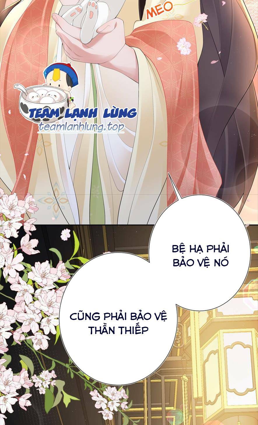 Không Biết Bệ Hạ Là Một Tiểu Cô Nương Chapter 18 - Trang 2