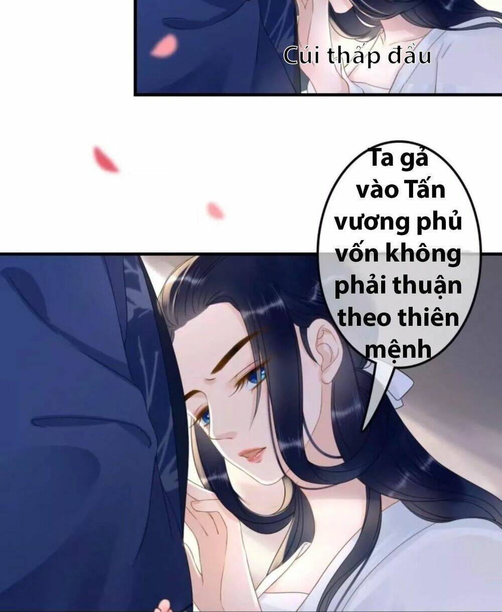 Sủng Phi Của Vương Chapter 88 - Trang 2