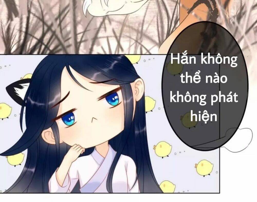 Sủng Phi Của Vương Chapter 60 - Trang 2