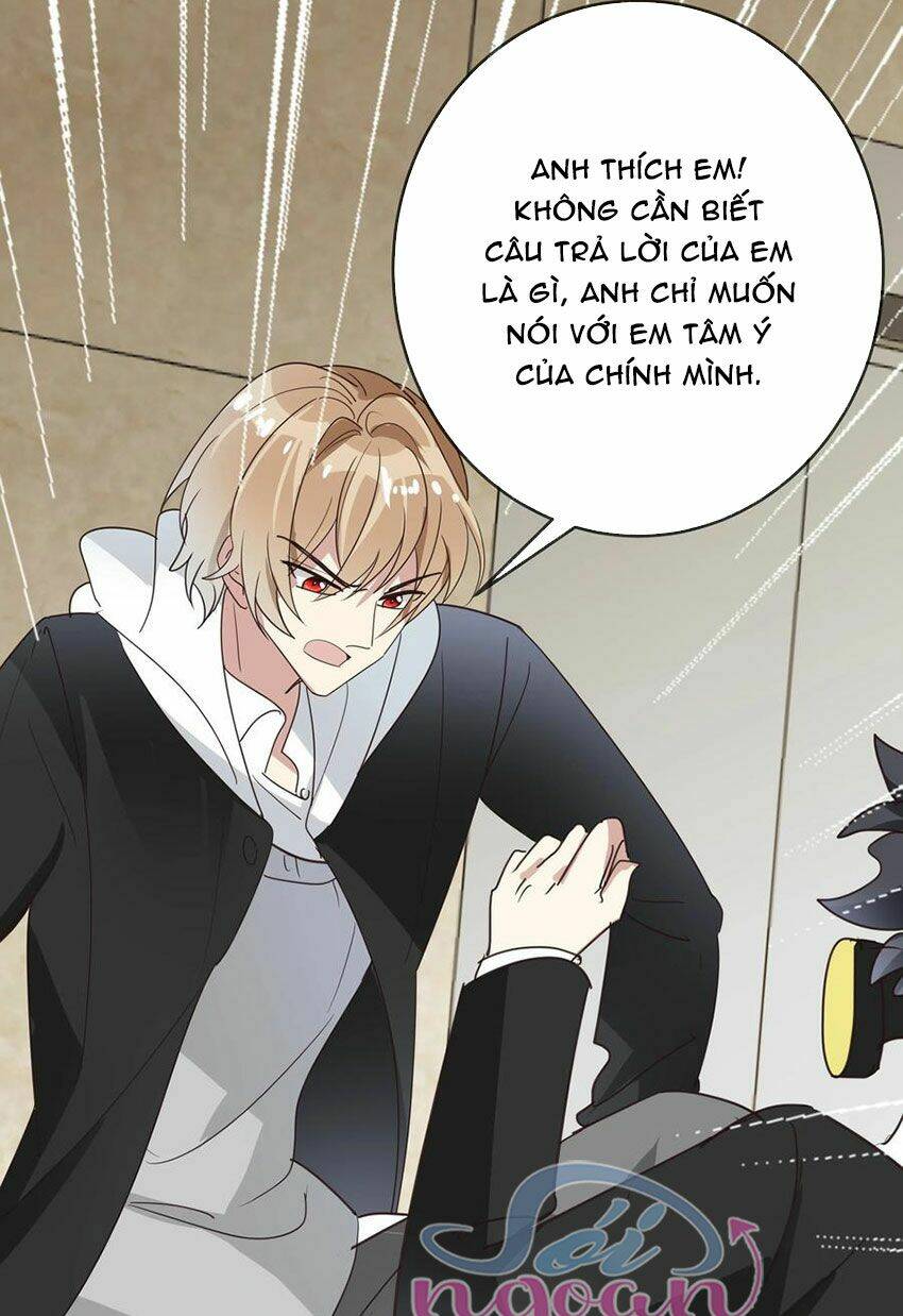 Em Là Bạc Hà Mèo Của Tôi Chapter 52 - Trang 2