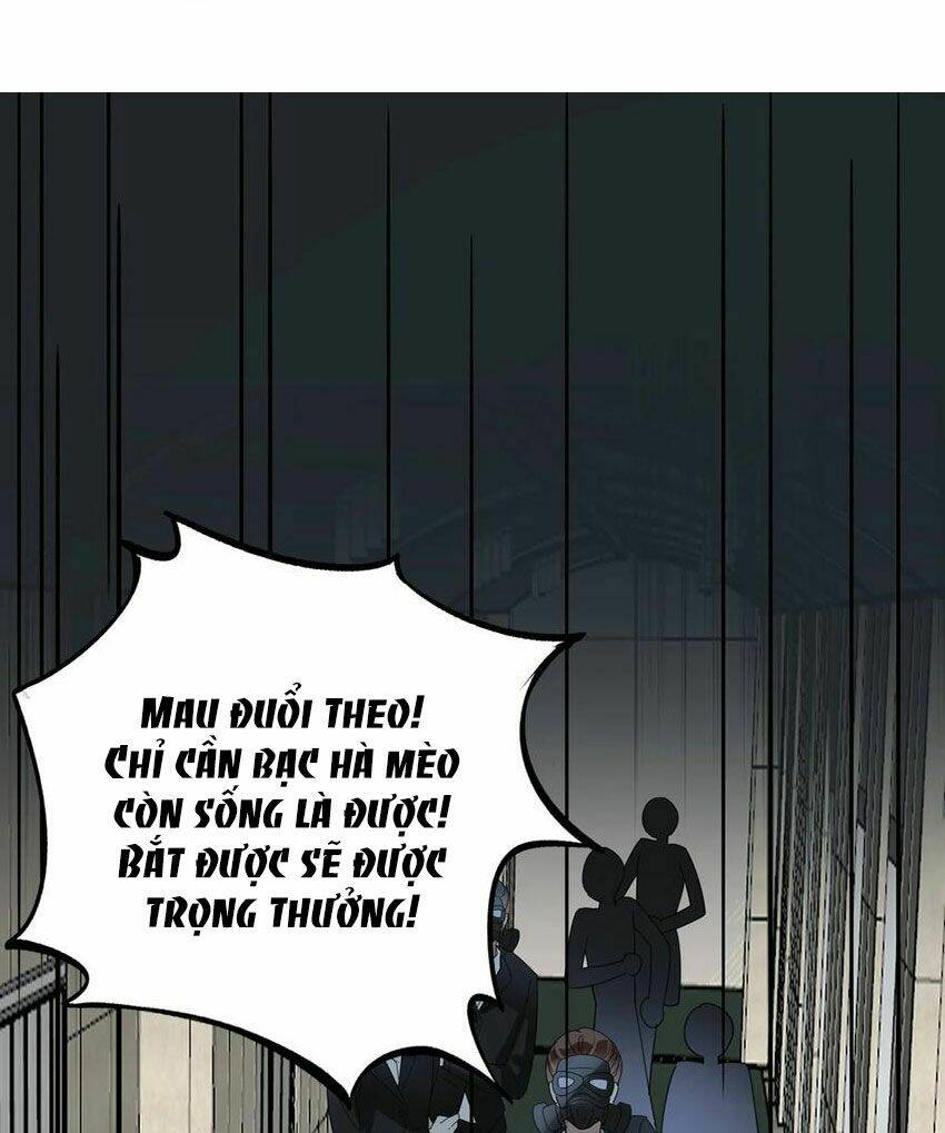 Em Là Bạc Hà Mèo Của Tôi Chapter 51 - Trang 2