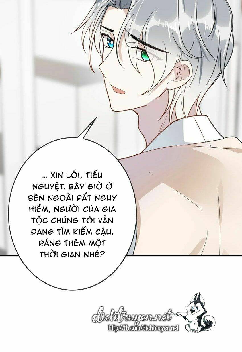 Em Là Bạc Hà Mèo Của Tôi Chapter 50 - Trang 2