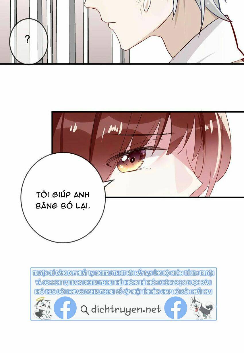 Em Là Bạc Hà Mèo Của Tôi Chapter 49 - Trang 2