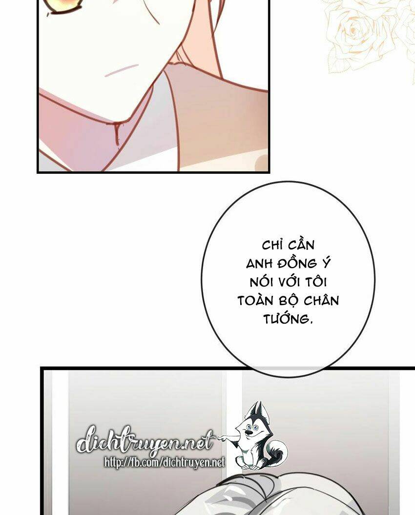 Em Là Bạc Hà Mèo Của Tôi Chapter 49 - Trang 2