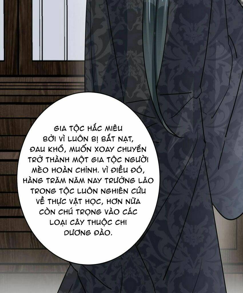 Em Là Bạc Hà Mèo Của Tôi Chapter 49 - Trang 2