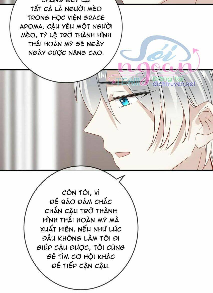 Em Là Bạc Hà Mèo Của Tôi Chapter 49 - Trang 2