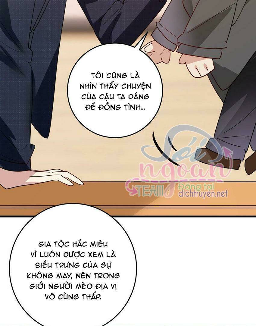 Em Là Bạc Hà Mèo Của Tôi Chapter 48 - Trang 2