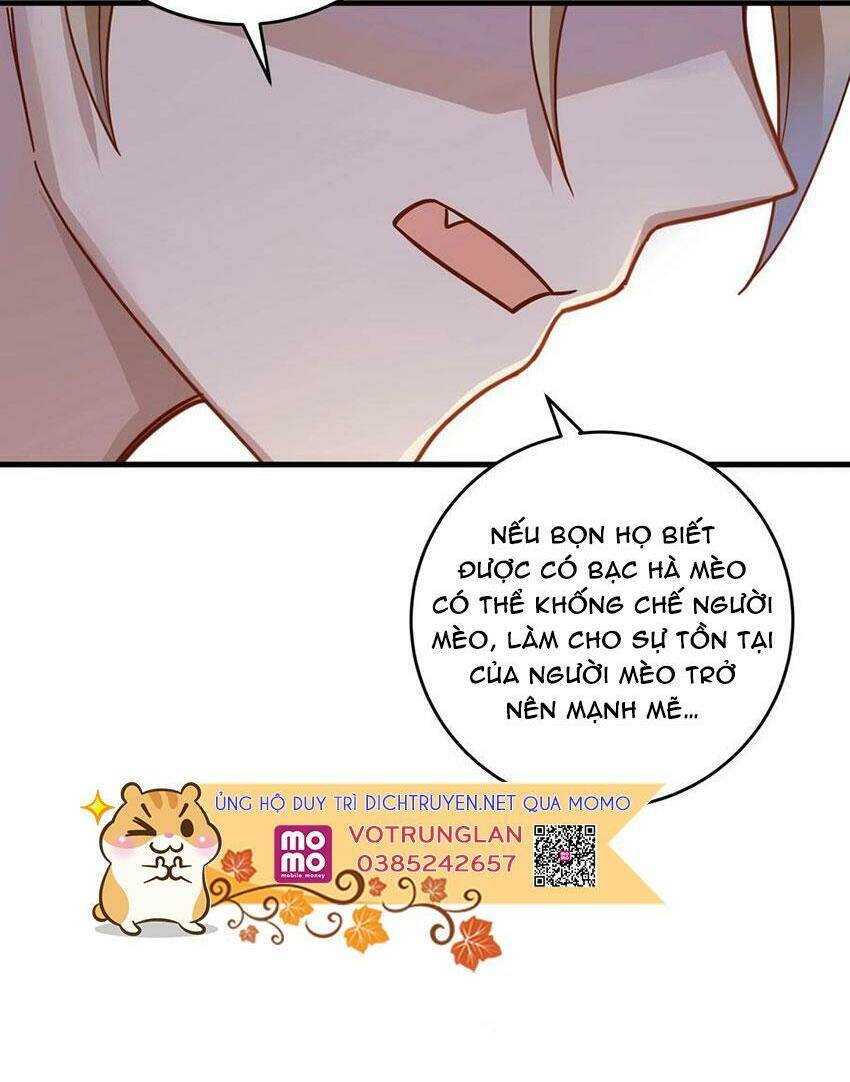 Em Là Bạc Hà Mèo Của Tôi Chapter 48 - Trang 2