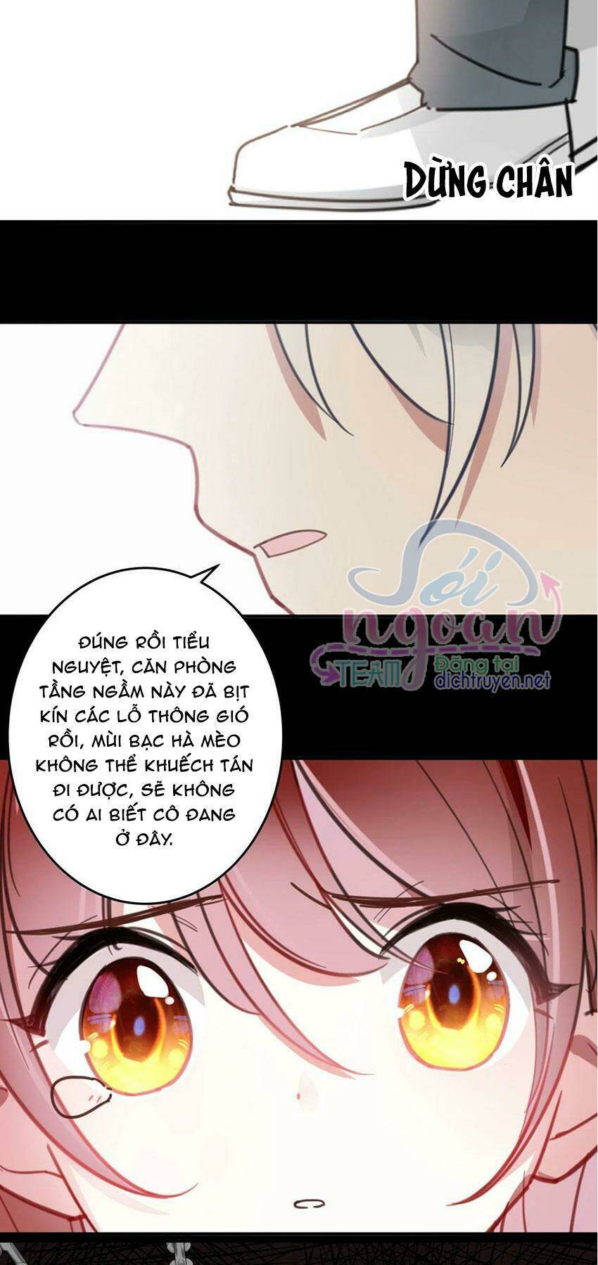 Em Là Bạc Hà Mèo Của Tôi Chapter 47 - Trang 2