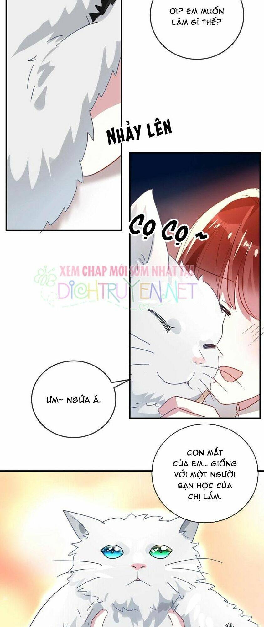 Em Là Bạc Hà Mèo Của Tôi Chapter 46 - Trang 2