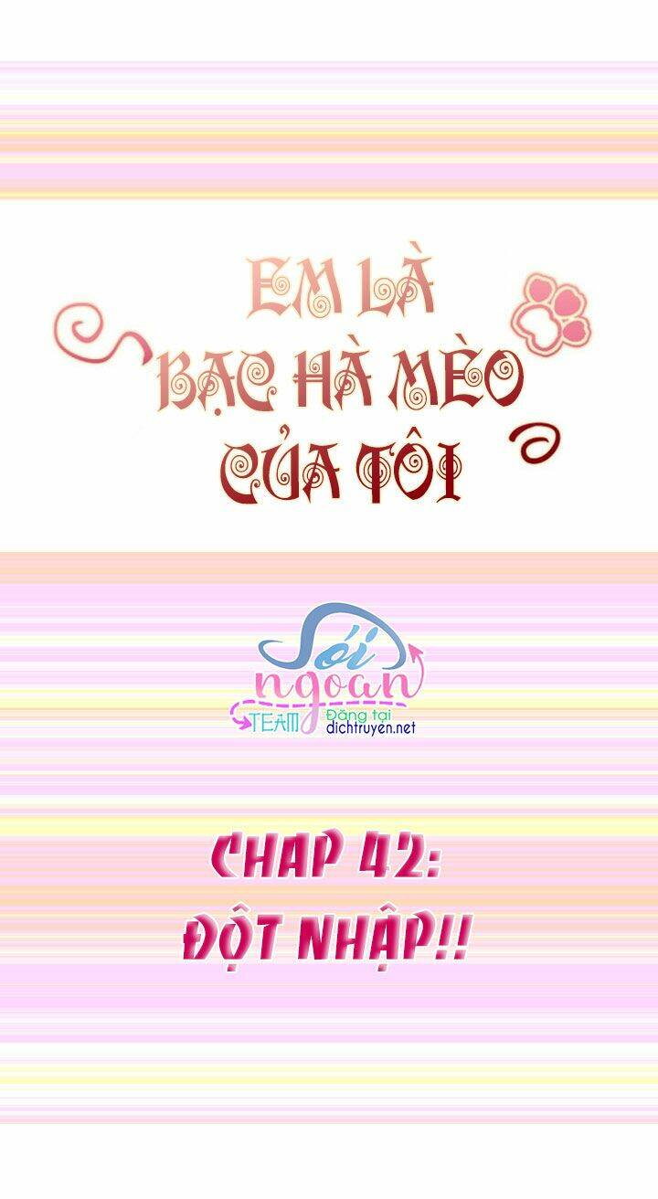 Em Là Bạc Hà Mèo Của Tôi Chapter 42 - Trang 2