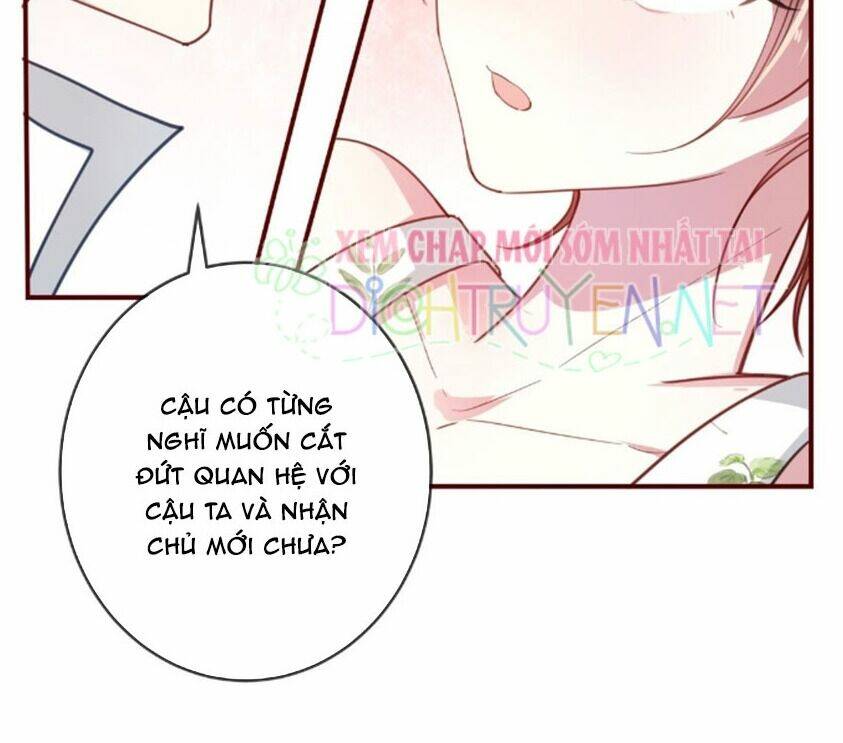 Em Là Bạc Hà Mèo Của Tôi Chapter 36 - Trang 2